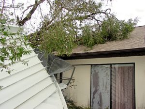an image of a damaged house with a large tree on the roof