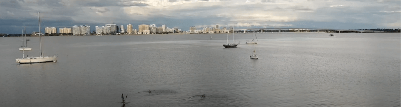 screenshot of sarasota county water quality story map landing page. [credit: uf/ifas extension sarasota county]