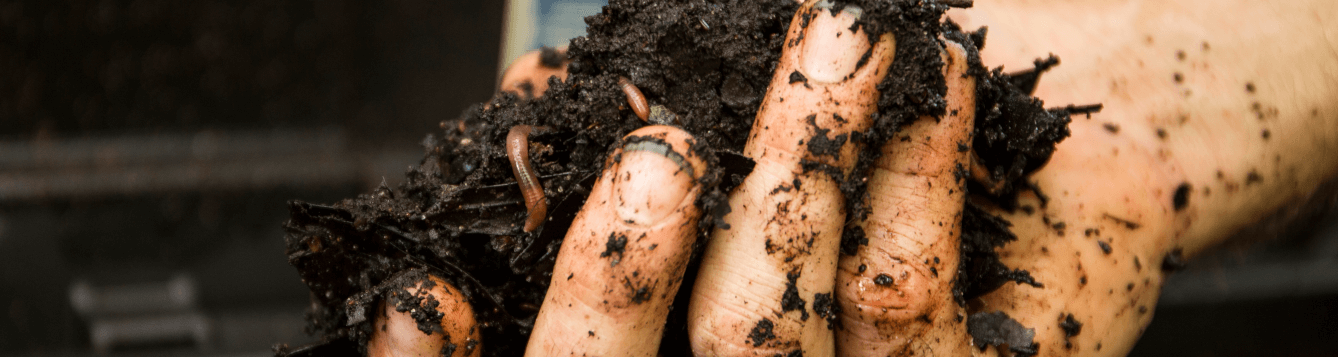 a hand holds dark, rich compost with worms. [credit: uf/ifas, camila guillen]