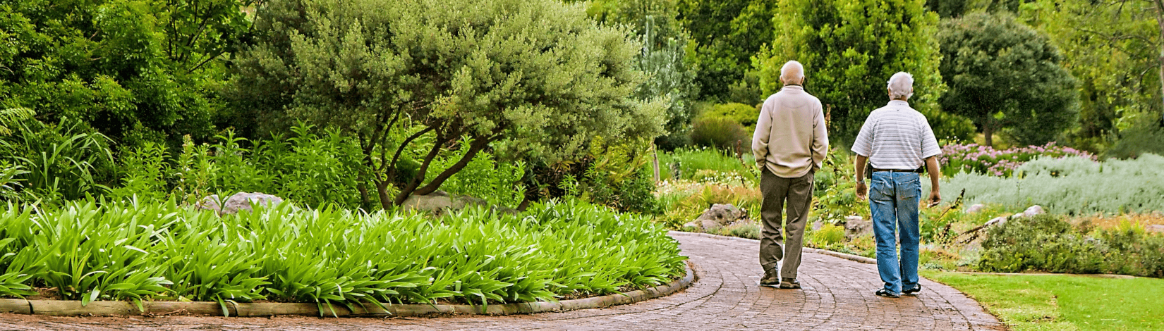 two older men walk away from the camera along a brick path through a park. [credit: pixabay.com, Steve Buissinne]