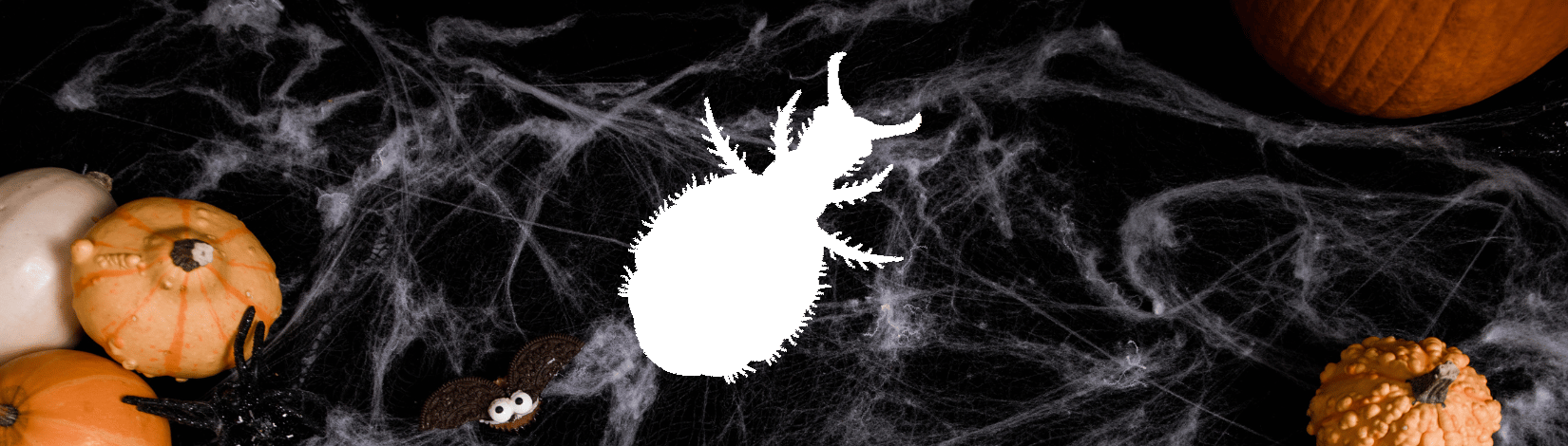White silhouette of antlion on Halloween-themed background, with cobwebs and pumpkins