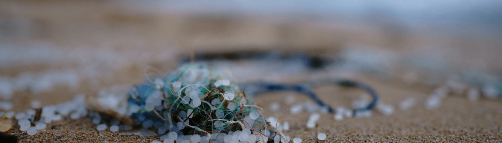 a tangle of fishing line, plastic beads and other plastic waste on a beach. [credit: unsplash.com, soren funk]