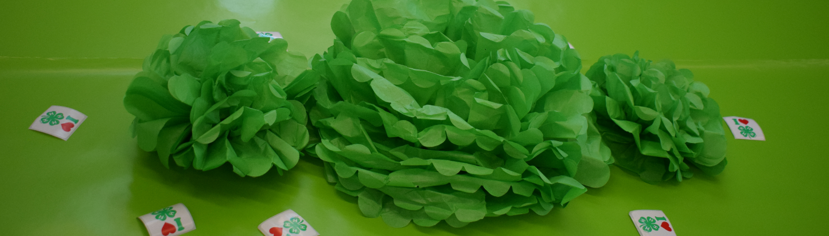 4-H sticker and pom-poms decorate the table.