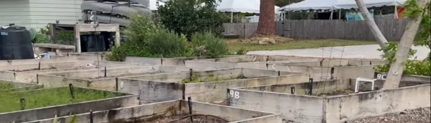 screen grab from a video showing a wide view of raised garden beds, an educational feature at mangrove school of sarasota. [credit: uf/ifas extension sarasota county]
