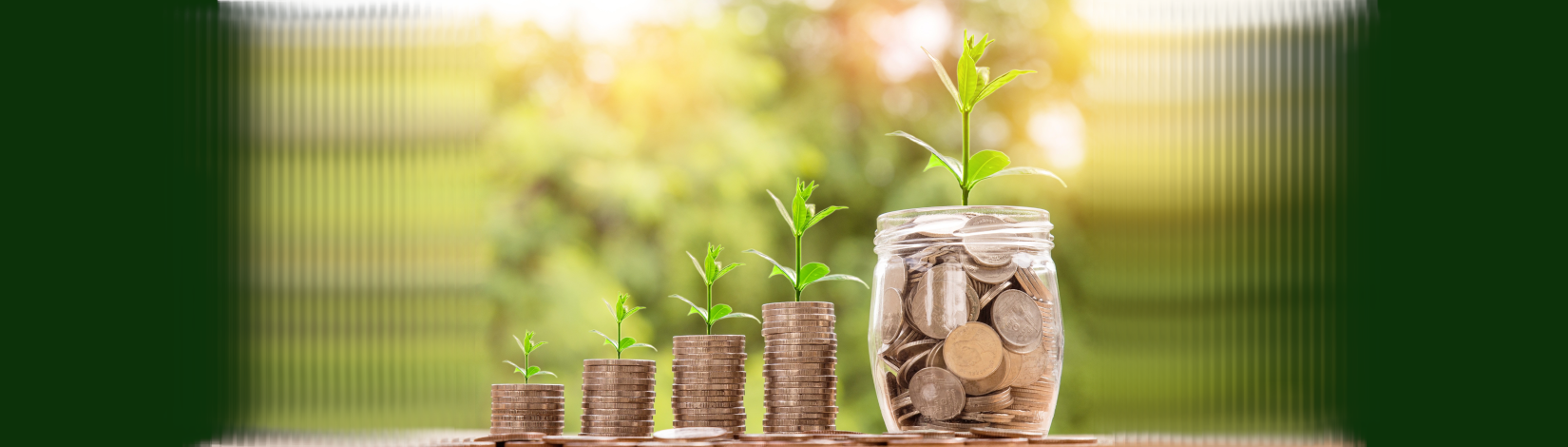 plant shoots sprout from stacks of coins and a clear glass jar full of coins, against a background of greenery. [credit: pixabay.com, nattanan kanchanaprat]