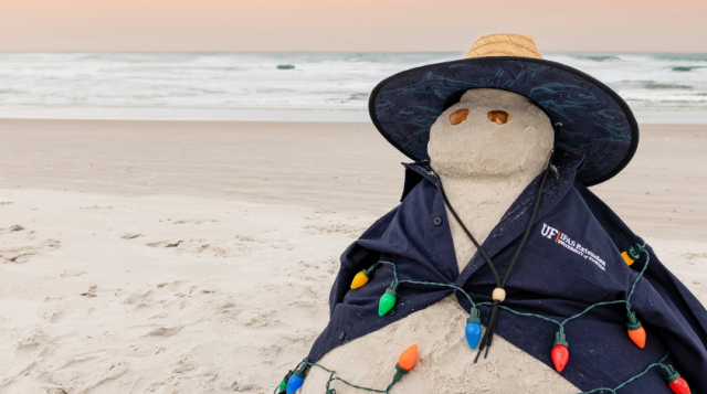 Holiday Activity Guide