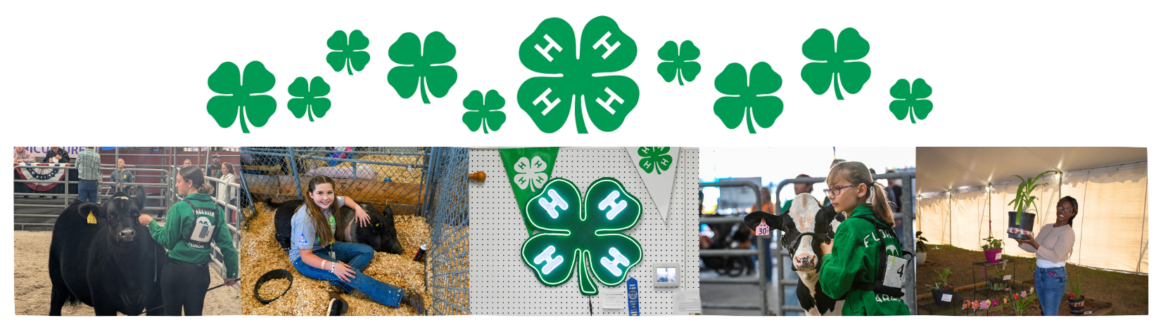 Sarasota 4-H County Council and Club Updates – September 2026