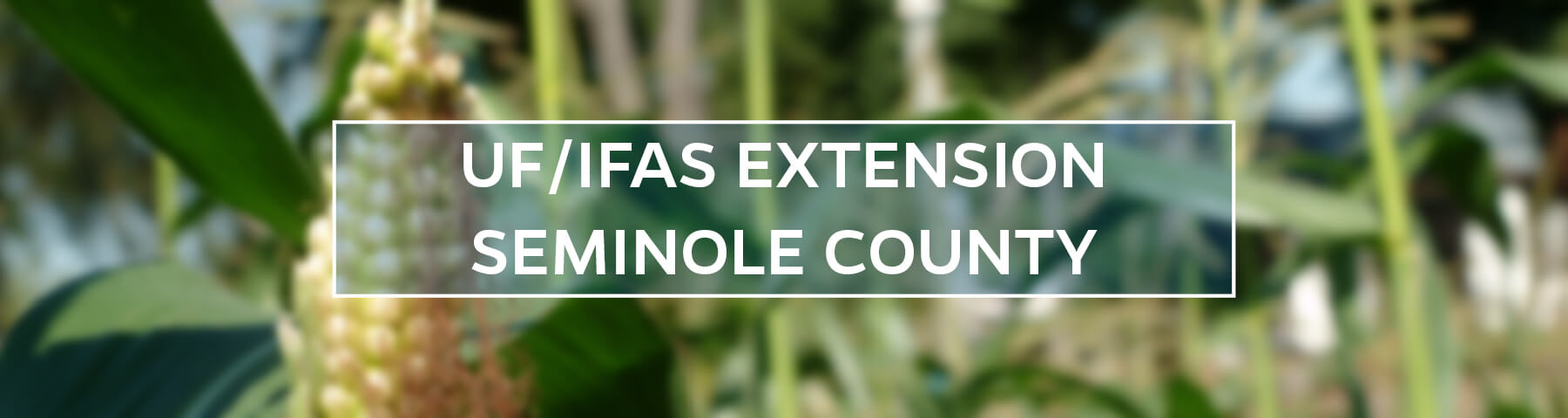 UF/IFAS Extension Seminole County