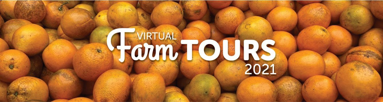 Virtual Farm tour 2021 logo with oranges in background