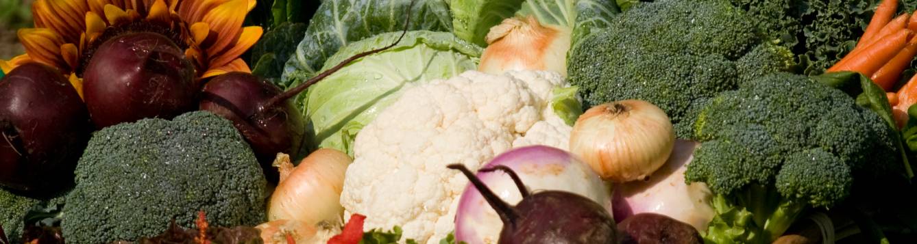 Close up image of assorted vegetables including broccoli, cauliflower, turnip, onions, cabbage, and beets