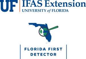 First Fridays with Florida First Detector, Coming again Sept 2024-2025!