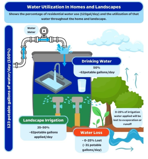 Depicts the use of the average 123 gallons/potable water within a typical Florida residence. 50-percent used inside, 50-percent used outside--and 25-percent of total water used is lost due to evaporative effects.