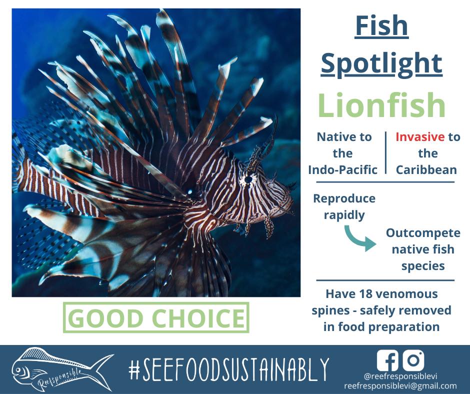 Fish Spotlight mini poster highlighting invasive lionfish