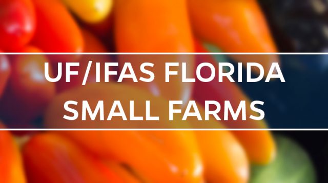 Small Farms And Alternative Enterprises Program University Of Florida Institute Of Food And