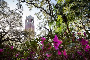 University of Florida's iconic Century Tower surrounded by spring foliage.