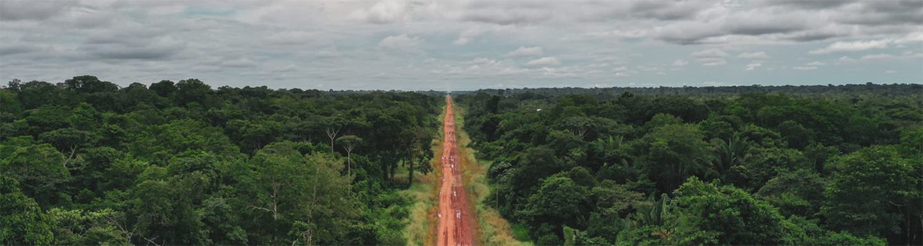 aerial view of the amazon rain forest horizon