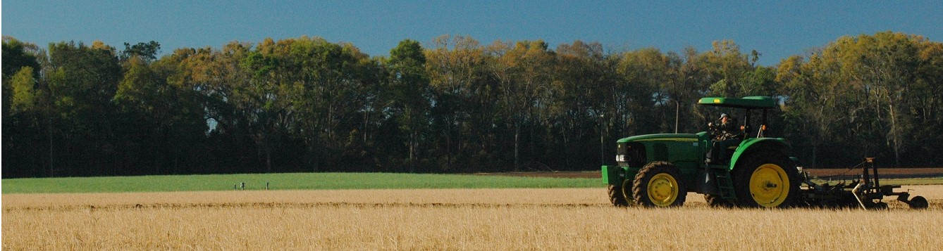 How to Take a Soil Sample - UF/IFAS Extension St. Johns County