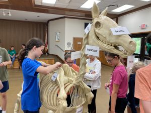 Campers with Horse Skeleton