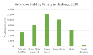Artichoke Yield Graph