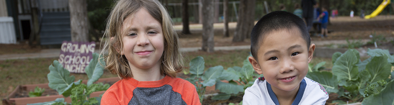 Children working in a school garden.
