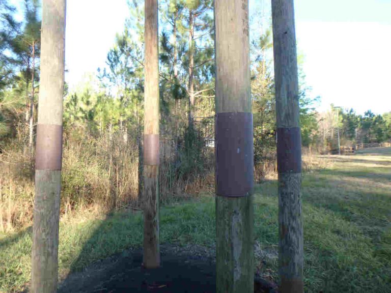 Have you heard about UF's other bat house? UF/IFAS Extension St