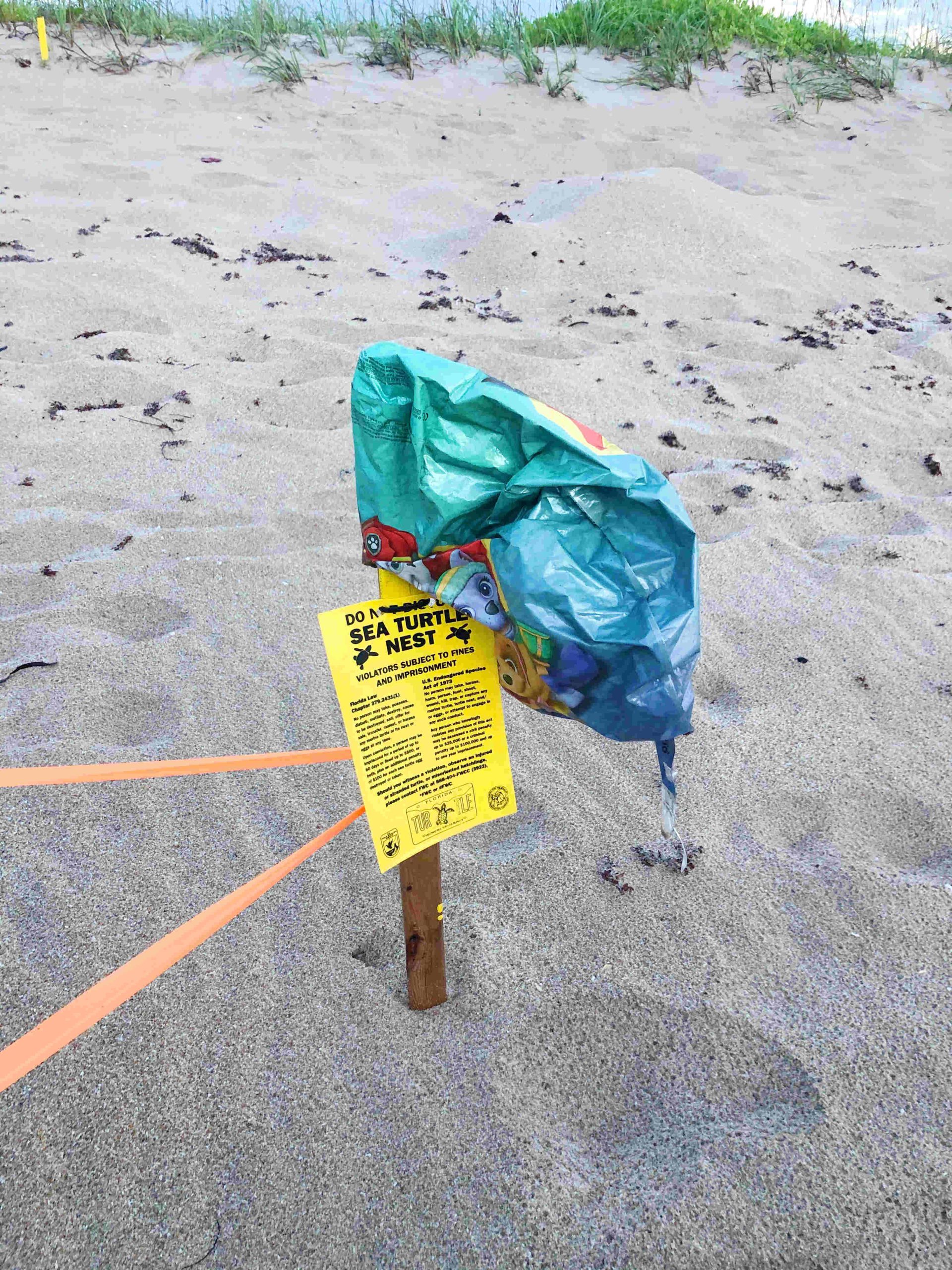 Balloons on Beach