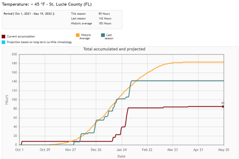 Growing Olive Tree in Florida UF/IFAS Extension St. Lucie County
