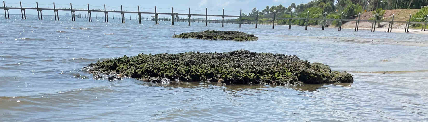 Coastal Shoreline Restoration