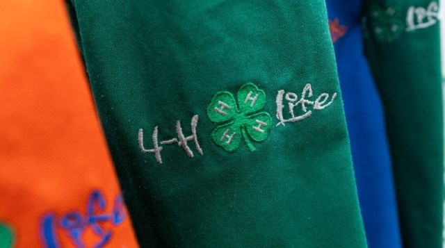 From Tiny Vest to Big Impact: My 4-H Journey