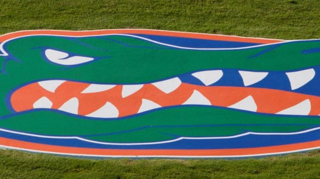 Is My Lawn Dead—and Should I Be Fertilizing Right Now?