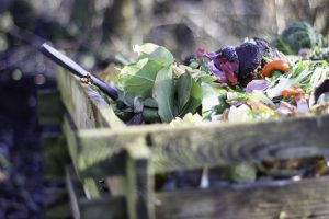 Wood bin with vegetables