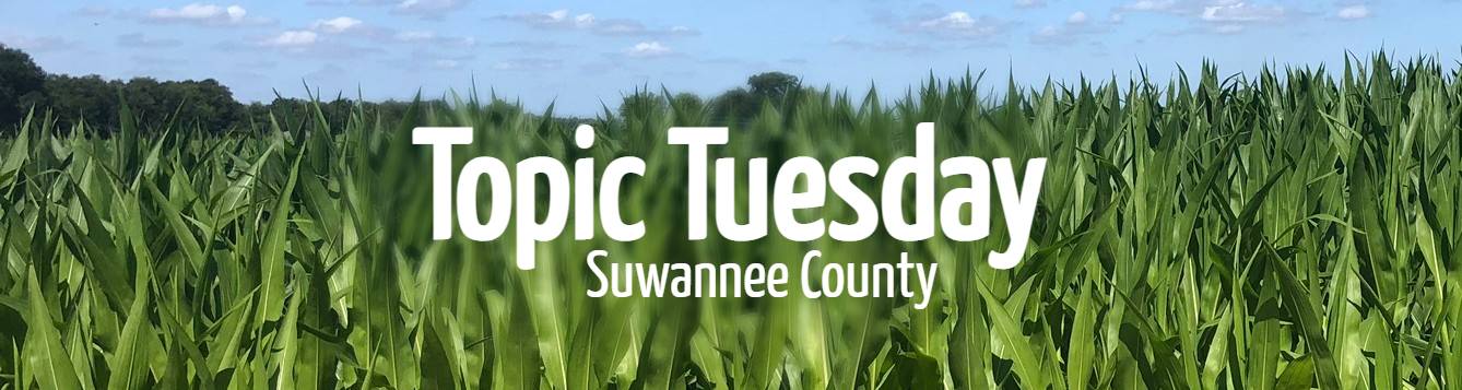 Topic Tuesday: Corn Earworm - Uf Ifas Extension Suwannee County