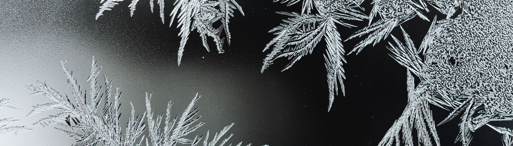 Survey for Crop Damages During Freeze Events in Florida: Why should you Participate?