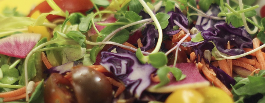 Microgreen salad