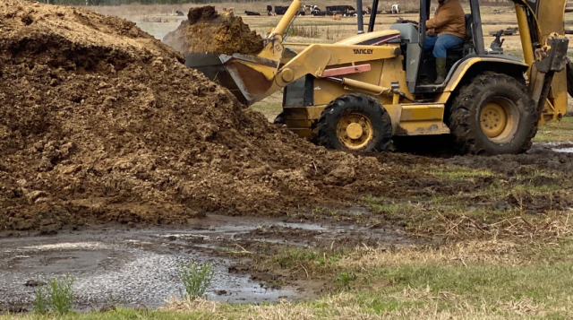 Using manure for your compost or garden? Make sure it does not contain herbicides that can kill your plants!