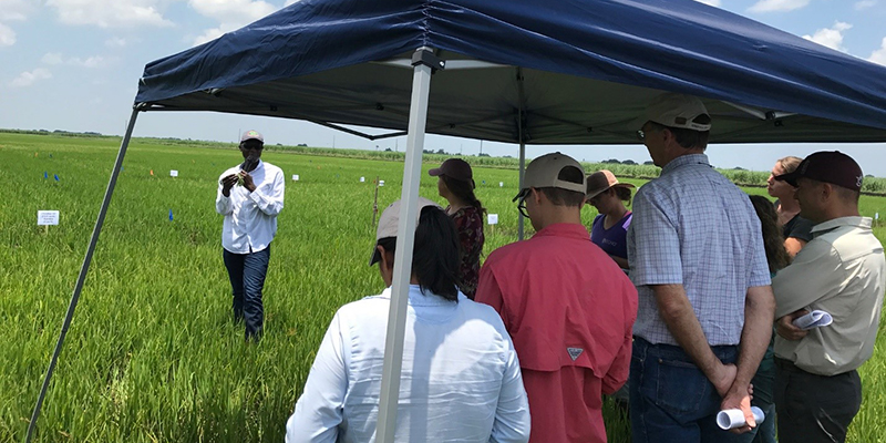 presentation at research center rice fields