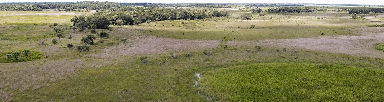 drone photography image of grassland in Florida