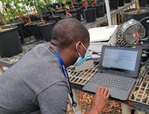 EARTH University student at computer
