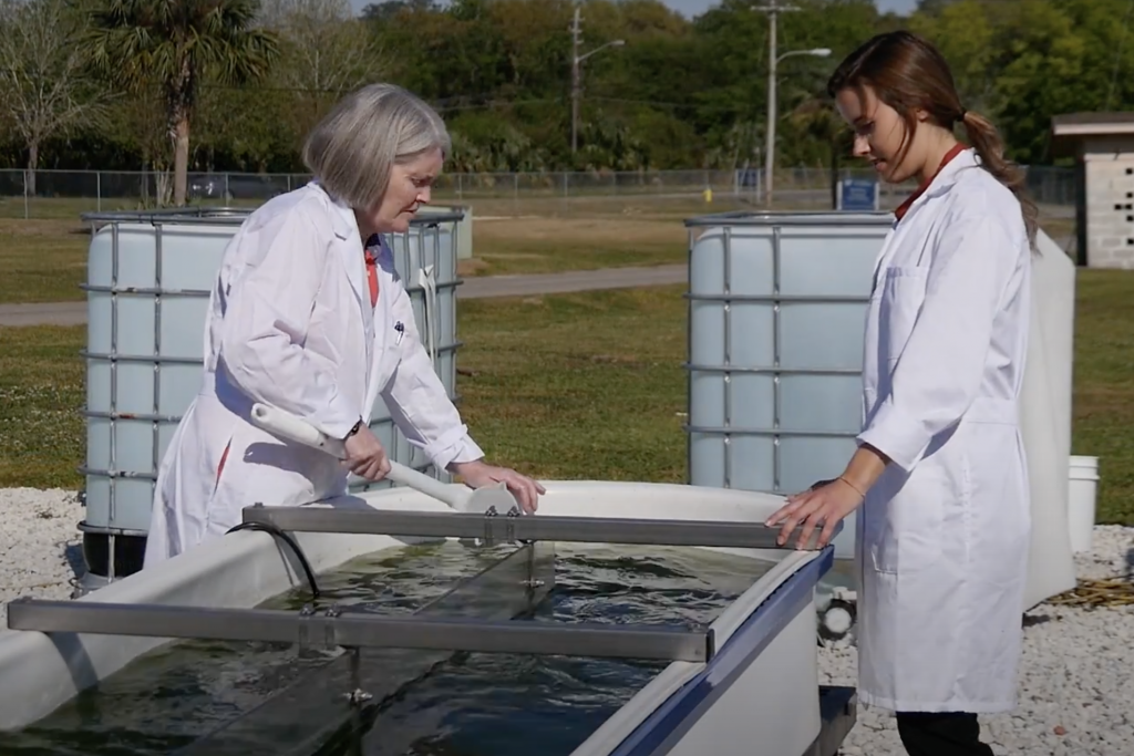 Dr. Ann Wilkie awarded the 2021 VP Promise Award Soil, Water, and