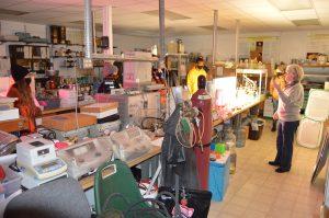 a professor discusses algal cultivation with students