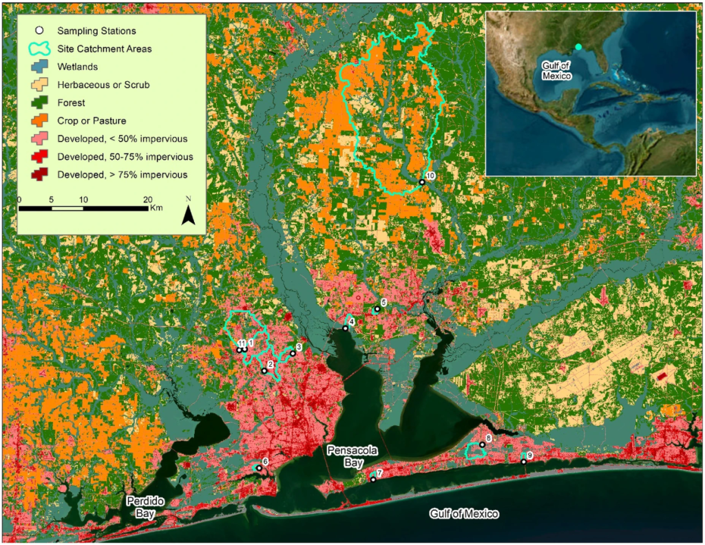 A map of water sampling sites, catchment areas, and nearby land cover types (based on U.S. Geological Service National Land Cover 2019 Dataset); and location along the Gulf of Mexico.