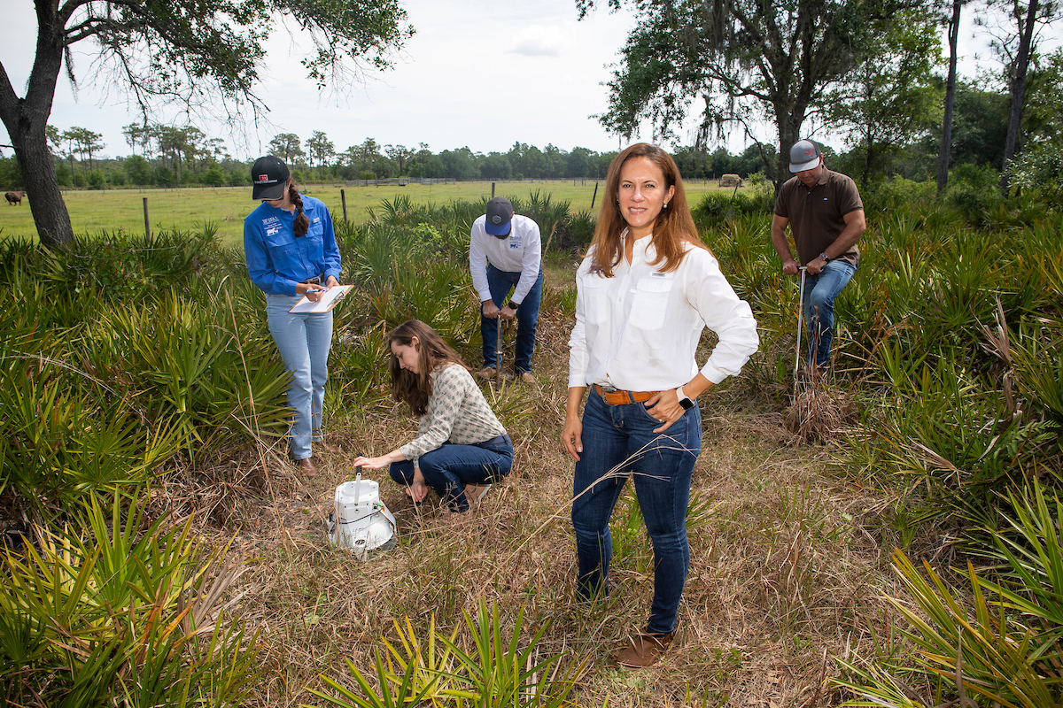 UF soil scientist named SSSA Fellow - Soil, Water, and Ecosystem Sciences