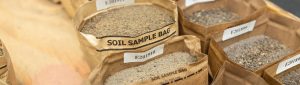 ANSERV Labs soil sample bags on World Soil Day 2025