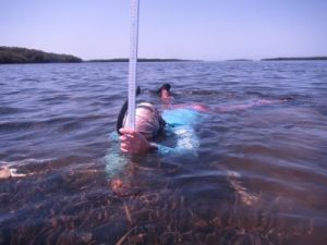 A college student measuring seagrass during her summer experience
