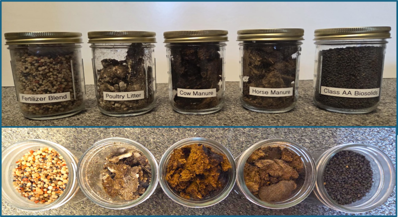 An image of five mason jars filled with different sources of fertilizer shown from the side with labels and from a top view that corresponds with the different types.