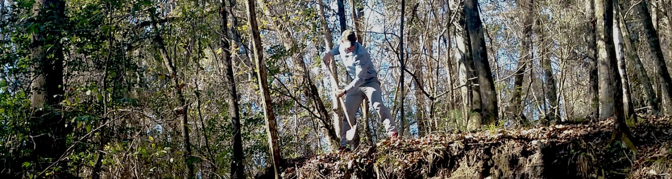 Allan Bacon in forest ecosystem