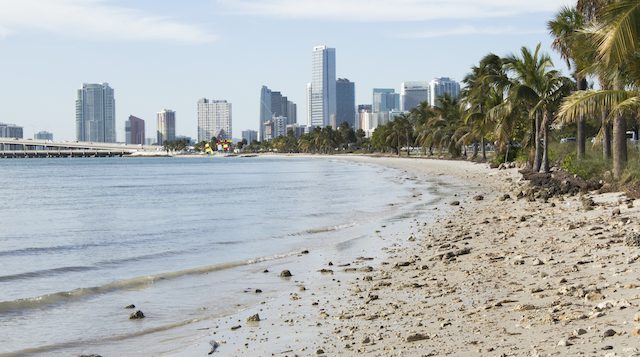Virginia Key beach in Miami, Florida.