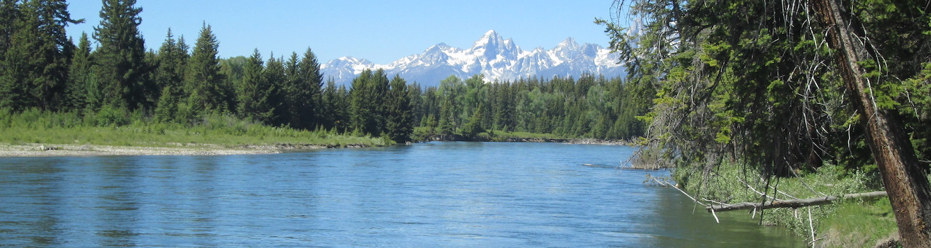 river with mountain in the background