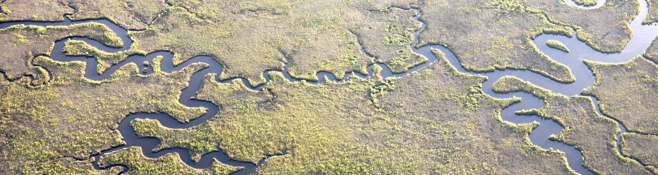 Aerial photograph of tidal marsh lands off of Cedar Key, Florida.