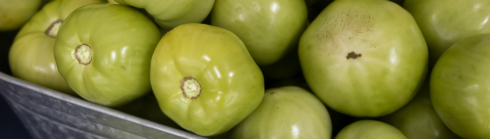 Green tomatoes in a basket